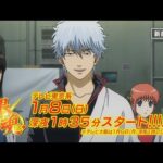 銀魂を見る順番!一気見するときにおすすめのVODは?