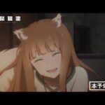 狼と香辛料を見る順番!一気見するときにおすすめのVODは?