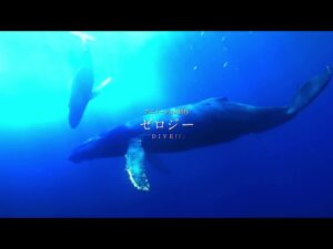 ぐらんぶるを見る順番!一気見するときにおすすめのVODは?