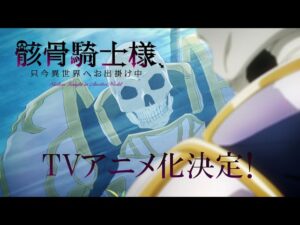 骸骨騎士様の見る順番と一気見するときにおすすめのVOD